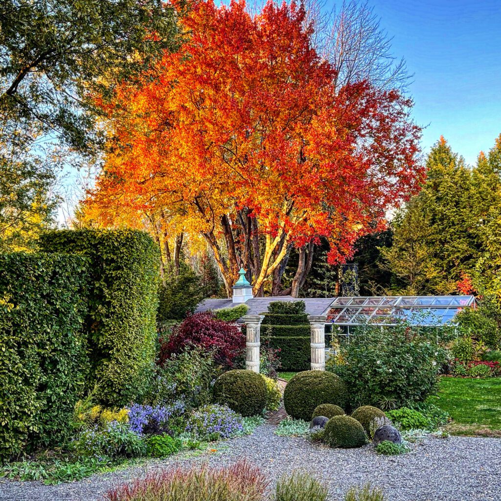 Autumn City Garden