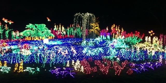 Bellevue Garden d'lights