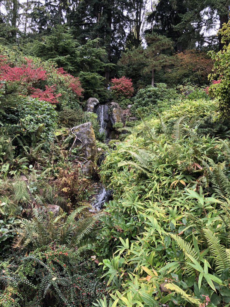 Kubota Garden Waterfall - Seattle