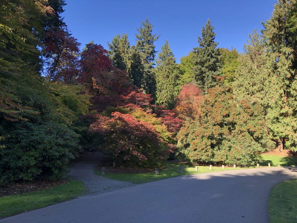 Seattle Arboretum - October 2023