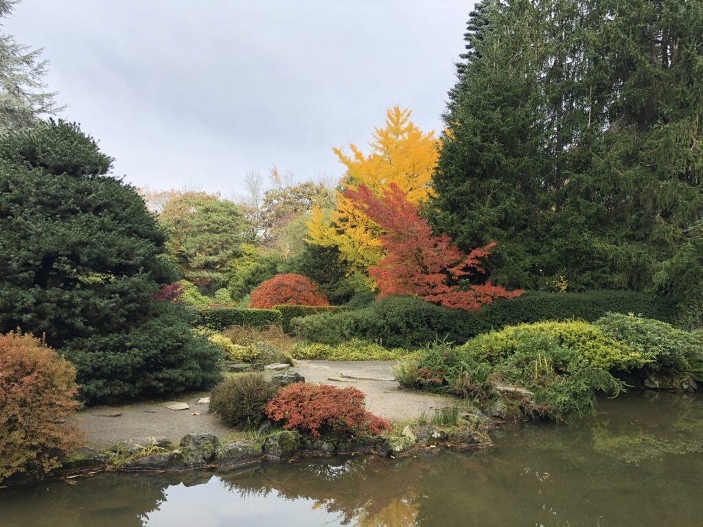 Kubota Garden Seattle