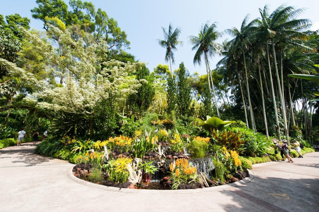 Singapore Botanic Gardens