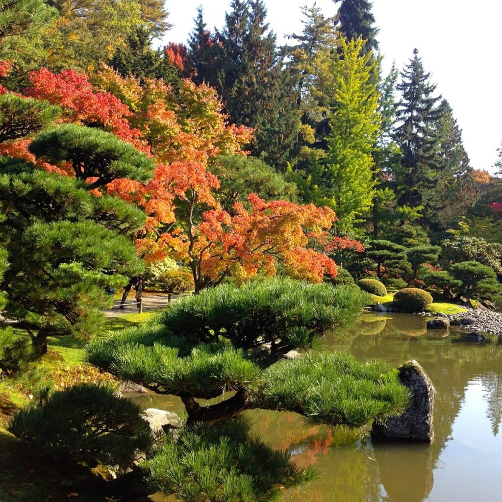 Seattle Japanese Garden