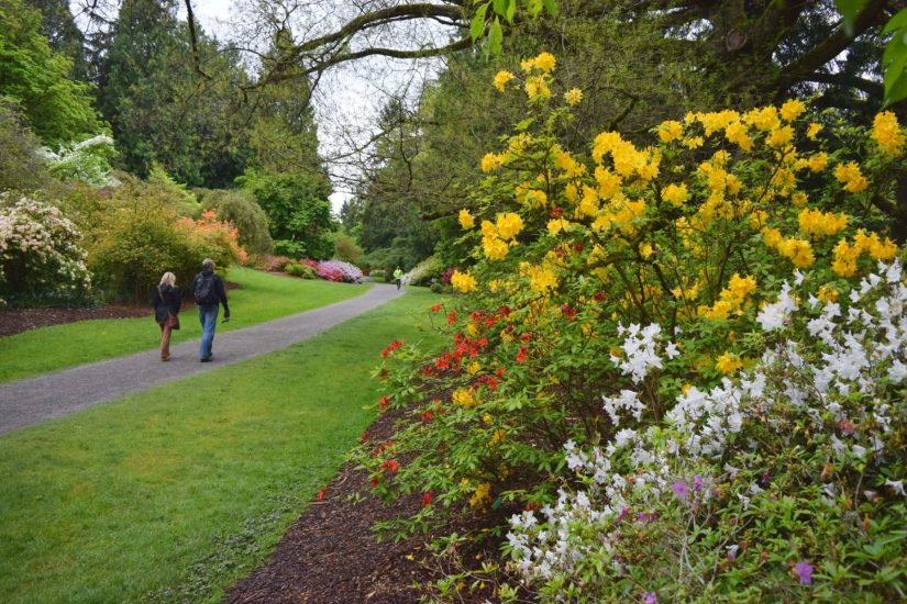 University of Washington Botanic Gardens