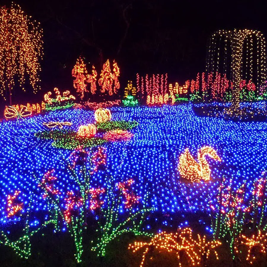 Bellevue Botanical Garden - Garden d’Lights