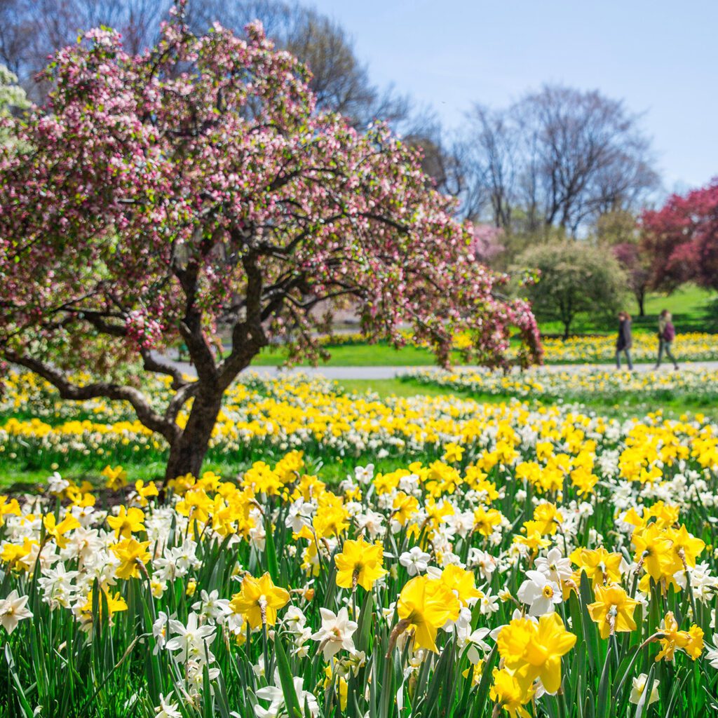 City Garden in the Spring