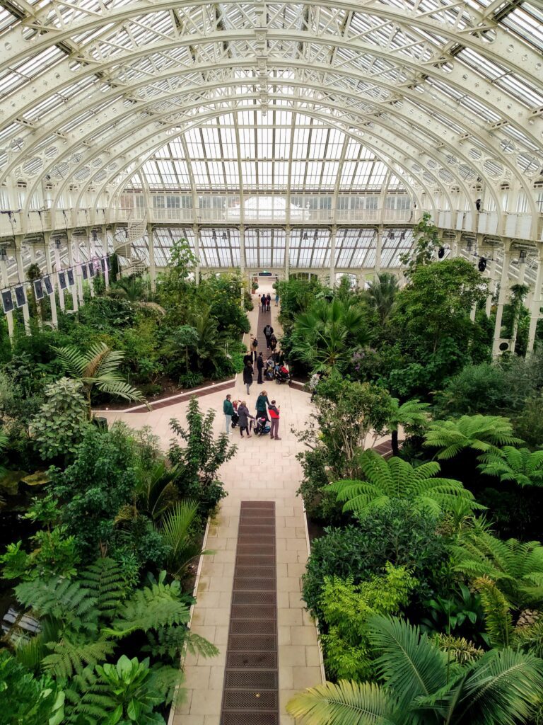 The Royal Botanic Gardens at Kew