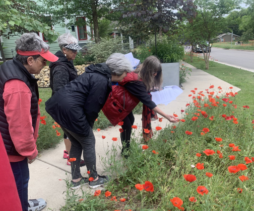 Neighborhood Garden Walk