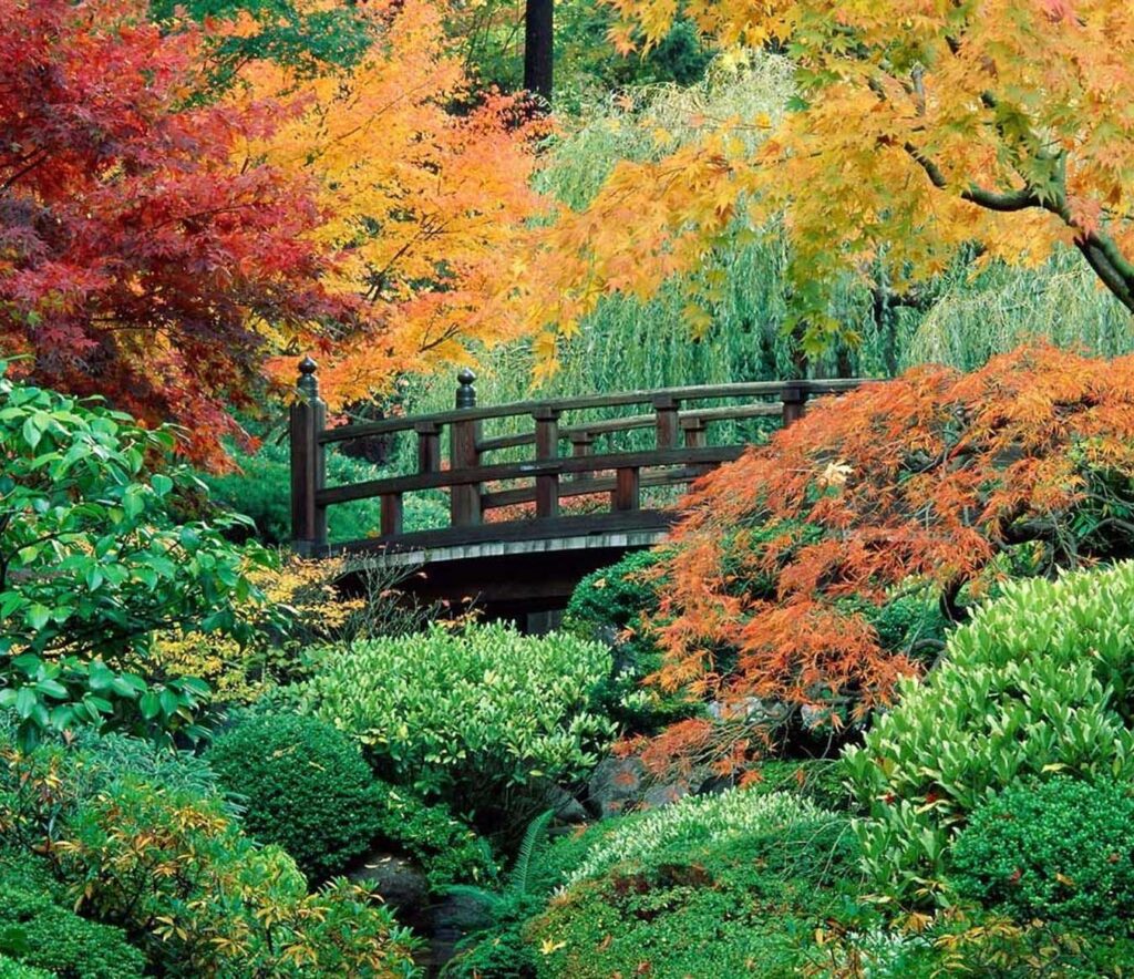 Portland Washington Park Portland Japanese Garden