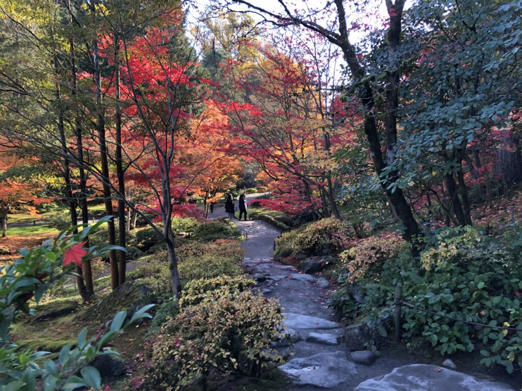 Seattle Japanese Garden Autumn - Fall Colors