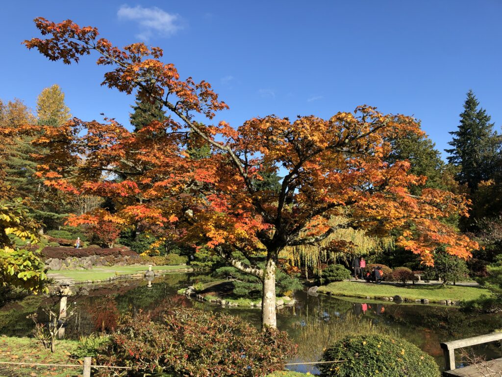 Seattle Japanese Garden