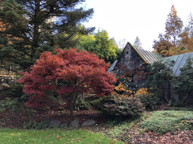 Seattle Arboretum