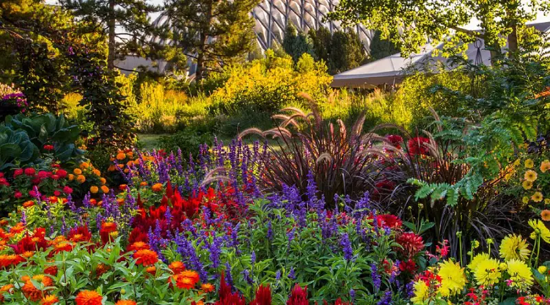 Denver Botanic Gardens - flowers in bloom