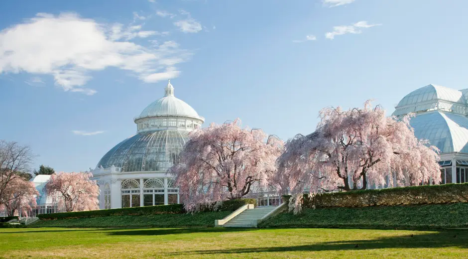 New York Botanical Garden