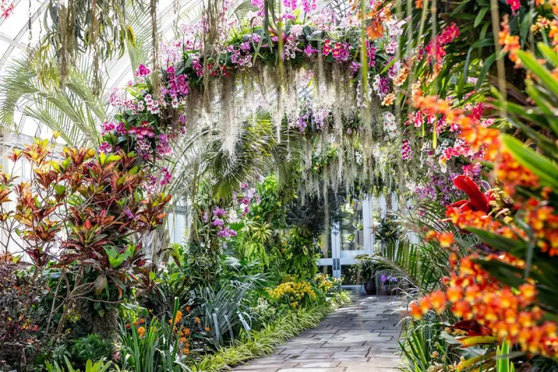New York Botanical Garden - Orchid Show