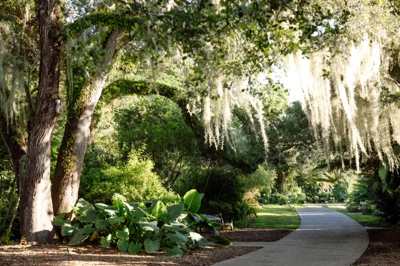 fairchild tropical botanic garden