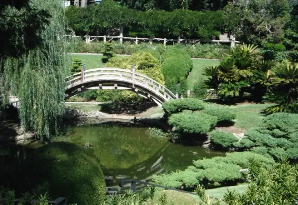Huntington Botanical Gardens (San Marino, CA)